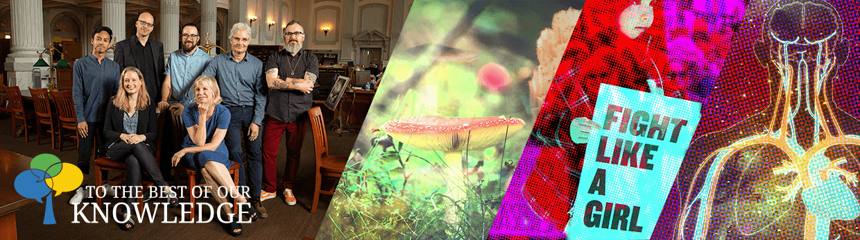 To The Best Of Our Knowledge To The Best Of Our Knowledge Wisconsin Public Radio